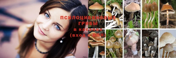 спайс Каменногорск