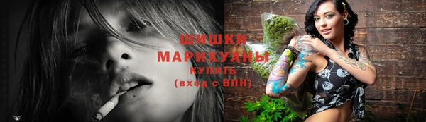 соль ск Касимов