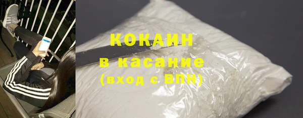 сатива Карпинск