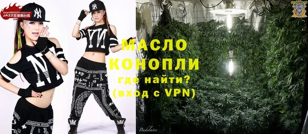 дживик Каменка