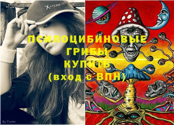 дживик Каменка