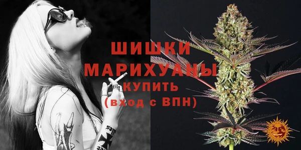 дживик Каменка