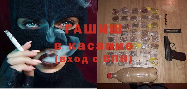 сатива Карпинск