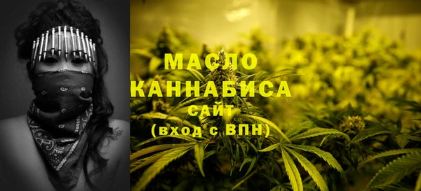 дживик Каменка