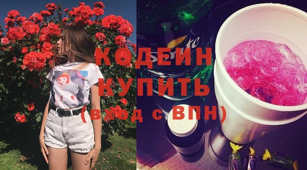 дживик Каменка