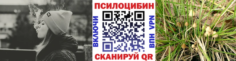 Галлюциногенные грибы Magic Shrooms  Купить закладки  Жигулёвск 